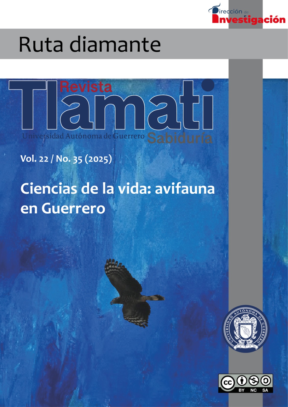 Portada "gavilán pico de gancho"